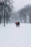 Central Park Winter Lovers (Guilherme Pontes) - Muzeo.com