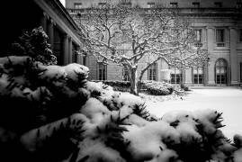 Frick Collection Winter Nº3 (Guilherme Pontes) - Muzeo.com