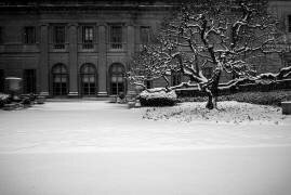 Frick Collection Hiver Nº2 (Guilherme Pontes) - Muzeo.com