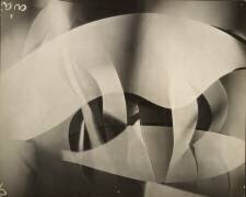 Rythmes de Lumière (Francis Bruguière) - Muzeo.com