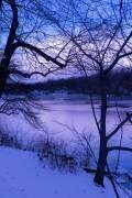 Violet Central Park en hiver (Guilherme Pontes) - Muzeo.com