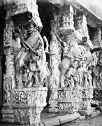 Carved Horse Pillars in Raganatha, Srirangam (Samuel Bourne) - Muzeo.com