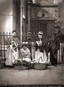 Covent Garden Flower Woman (John Thomson) - Muzeo.com