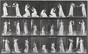 Album sur la décomposition du mouvement:Animal Locomotion: femme versant de l'eau (Eadweard Muybridge) - Muzeo.com