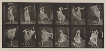 Animal Locomotion : Dance (fancy) (Eadweard Muybridge) - Muzeo.com