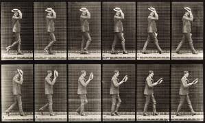 Animal Locomotion : Image sequence of a man with a hat walking (Eadweard Muybridge) - Muzeo.com