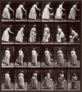 Animal Locomotion : séquence with a woman sitting down (Eadweard Muybridge) - Muzeo.com
