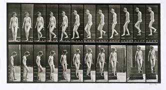 Animal Locomotion : Woman descending the steps (Eadweard Muybridge) - Muzeo.com