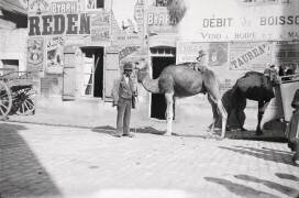 Dromadaire et singe appartenant à des nomades (anonymous) - Muzeo.com