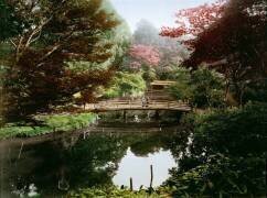 Japanese ornamental garden in blossom (Kusakabe Kimbei) - Muzeo.com