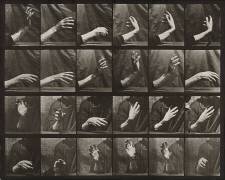 Movement of the hand ; beating time (Eadweard Muybridge) - Muzeo.com