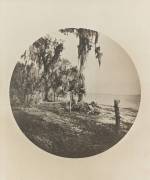 Palm tree and beach scene, Florida Coast (Winslow Homer) - Muzeo.com