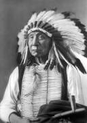 Red Cloud, Dakota Chief, wearing a headdress (David Frances Barry) - Muzeo.com