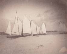 Sailboats on the New Jersey Shore (Thomas Eakins) - Muzeo.com