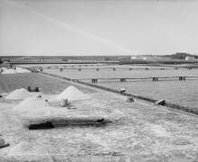 Salt works and refining vats, Mexico (William Henry Jackson) - Muzeo.com