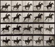 Saut d'obstacle, cheval noir (Eadweard Muybridge) - Muzeo.com