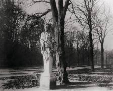 Statue, Tuileries Garden, Paris (Eugène Atget) - Muzeo.com