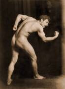 Study of a male nude (Wilhelm von Gloeden) - Muzeo.com