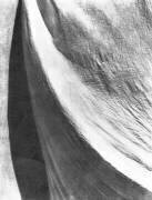 Cloth, Mexico (Tina Modotti) - Muzeo.com