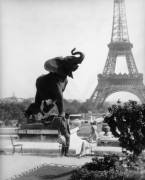 Couple in garden with eifflel tower in background (anonymous) - Muzeo.com