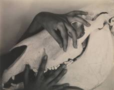 Georgia O'Keeffe — Hands and Horse Skull (Alfred Stieglitz) - Muzeo.com