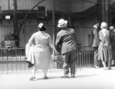 In the Zoological Garden, Berlin, Germany (Tina Modotti) - Muzeo.com