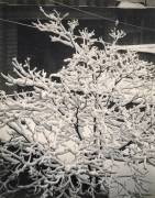 Out of Window - 291 - N.Y (Alfred Stieglitz) - Muzeo.com