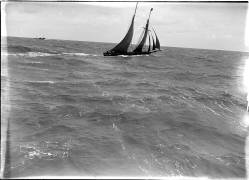 Sailing regatta at the Belgian coast (Germaine van Parys) - Muzeo.com