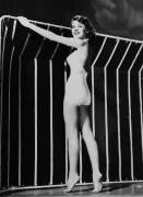 Peggie castle newcomer to the hollywood screen (Keystone) - Muzeo.com