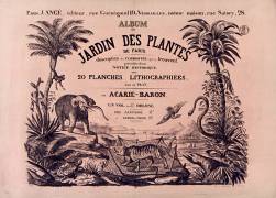 Album du Jardin des Plantes de Paris (anonymous) - Muzeo.com