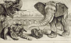 Animaux divers (Pieter Boel) - Muzeo.com