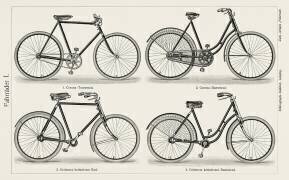 Bikes (anonymous) - Muzeo.com