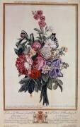Bouquet of flowers melange (Pierre-Joseph Buchoz) - Muzeo.com
