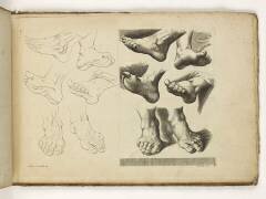 Carnet de 30 gravures. Etude de pieds (Famille des Poilly) - Muzeo.com