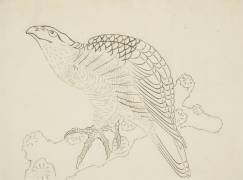 Hawk on a Branch (Hokusai) - Muzeo.com