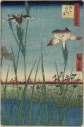 Iris Garden at Horikiri, Mai 1857 (Hiroshige) - Muzeo.com