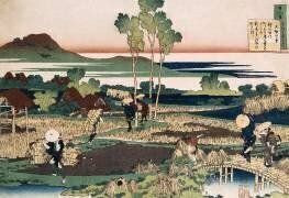 Japan. Landscape with rice fields and workers (Hokusai) - Muzeo.com