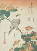 Japanese Grosbeak and Four-o'cloks (Hokusai) - Muzeo.com