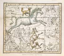 Monoceros (Alexander Jamieson) - Muzeo.com