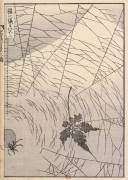 Mount Fuji seen through a spider web (Hokusai) - Muzeo.com