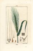 Orge (Pierre Jean Francois Turpin) - Muzeo.com