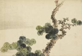 Pine Bough (Hokusai) - Muzeo.com