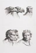 Planches 13 a et 13 b : trois têtes d'aigle et trois têtes d'hommes en relation avec l'aigle (Charles Le Brun) - Muzeo.com