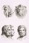 Planches 26 a et 26 b : deux têtes de lions et trois têtes d'hommes en relation avec le lion (Charles Le Brun) - Muzeo.com