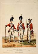 Régiment des Gardes Suisses, Louis XVI, 1786 : officier de grenadier, sergent de grenadier, caporal (Gustave David) - Muzeo.com