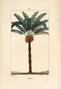 Sagou (Pierre Jean Francois Turpin) - Muzeo.com