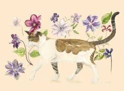 A Cat called Dave (Alison Cooper) - Muzeo.com