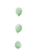 Birch Leaves in Row (1x Studio) - Muzeo.com