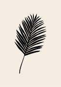 Black Palm (1x Studio) - Muzeo.com
