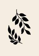 Black Twigs (1x Studio) - Muzeo.com
